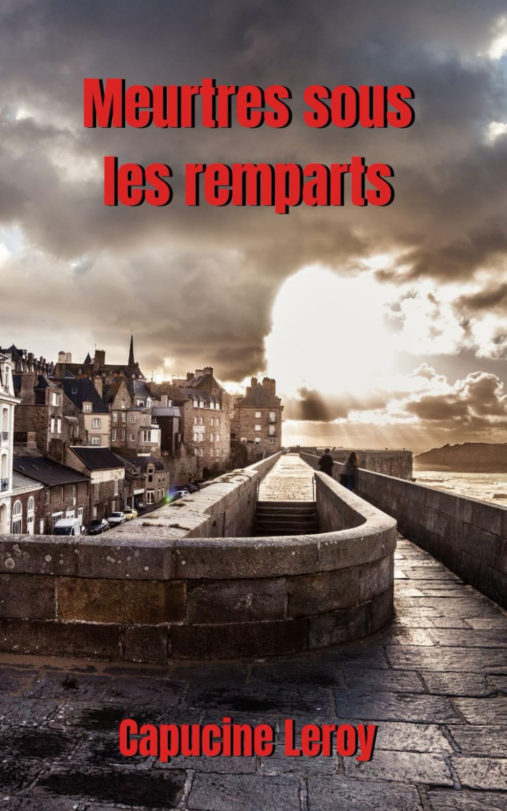 Meurtres sous les remparts book