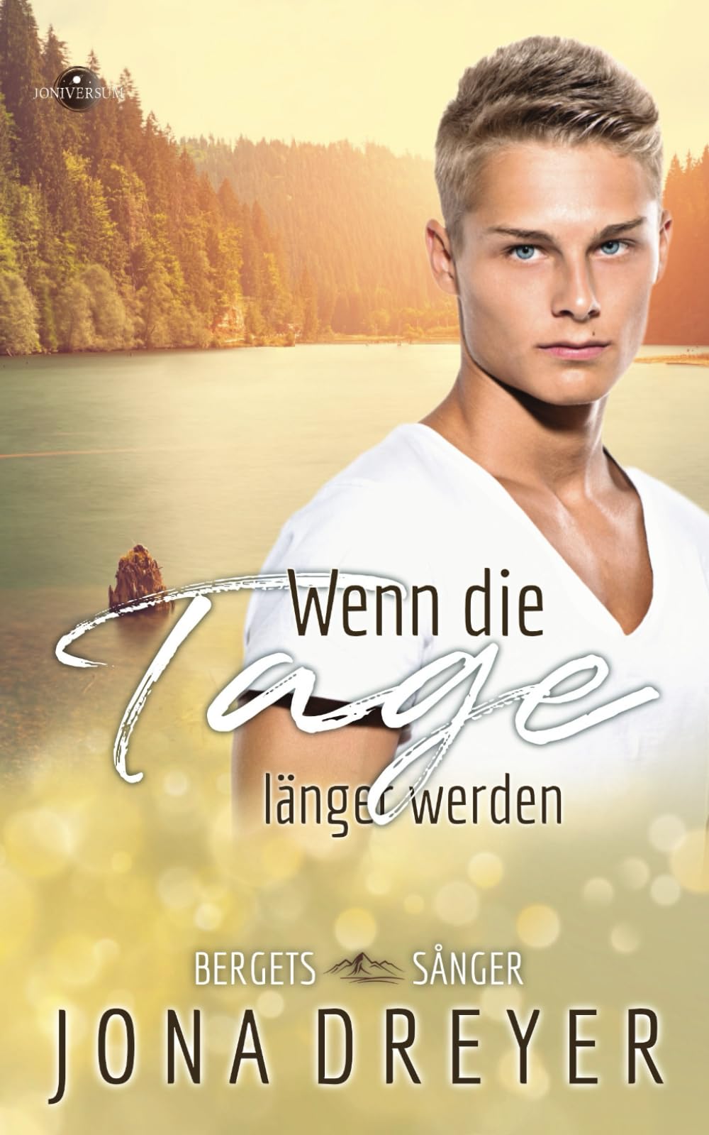 Wenn die Tage länger werden: Schwedenliebe book