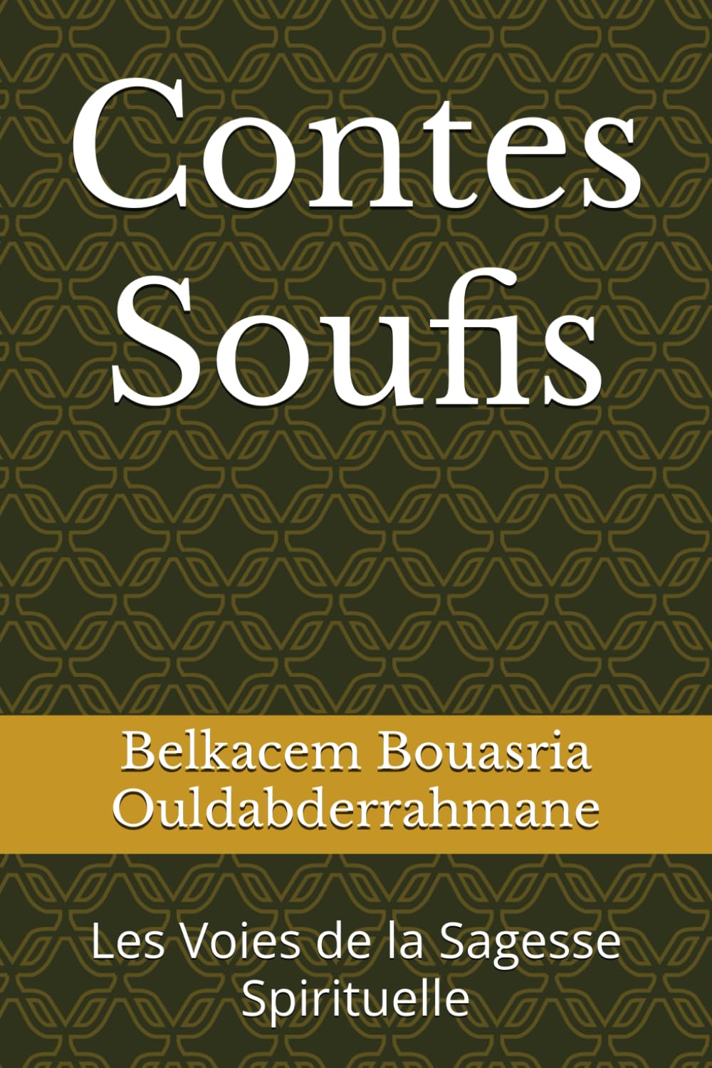 Contes Soufis: Les Voies de la Sagesse Spirituelle book
