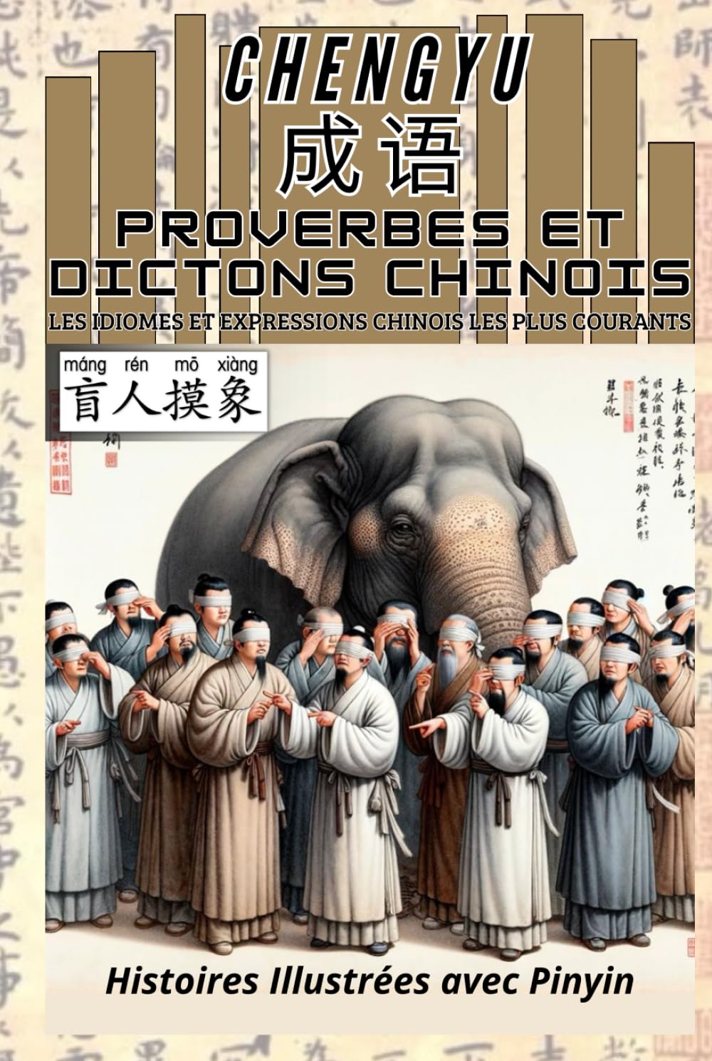 Chengyu: Proverbes et Dictons Chinois - Les Idiomes et Expressions Chinois les Plus Courants: Histoires Illustrées avec Pinyin book