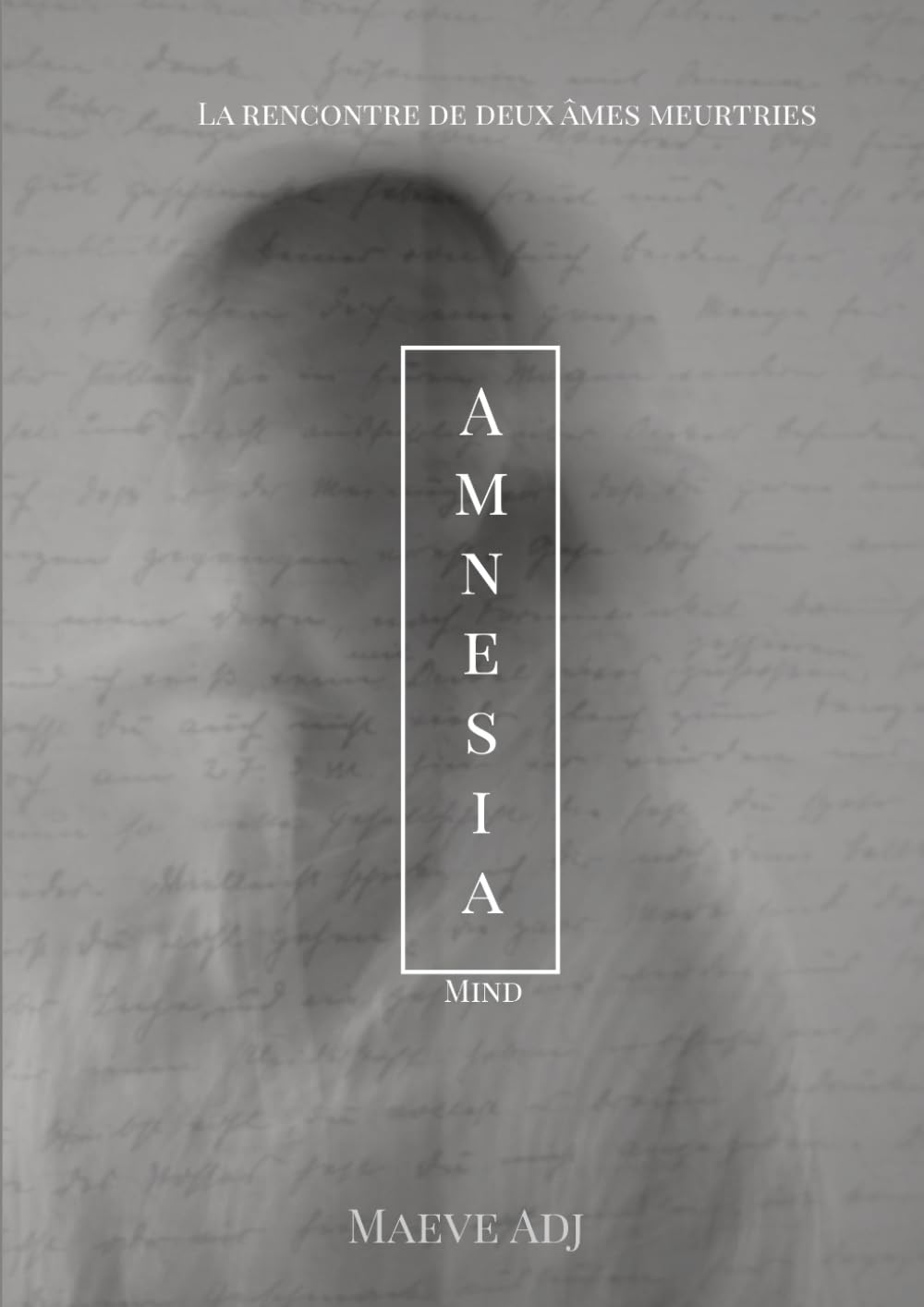 AMNESIA: Romance psychologique book