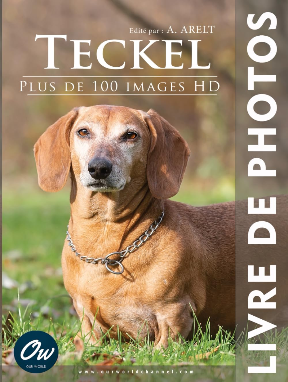 Teckel: Livre de Photos - Plus de 100 images HD book