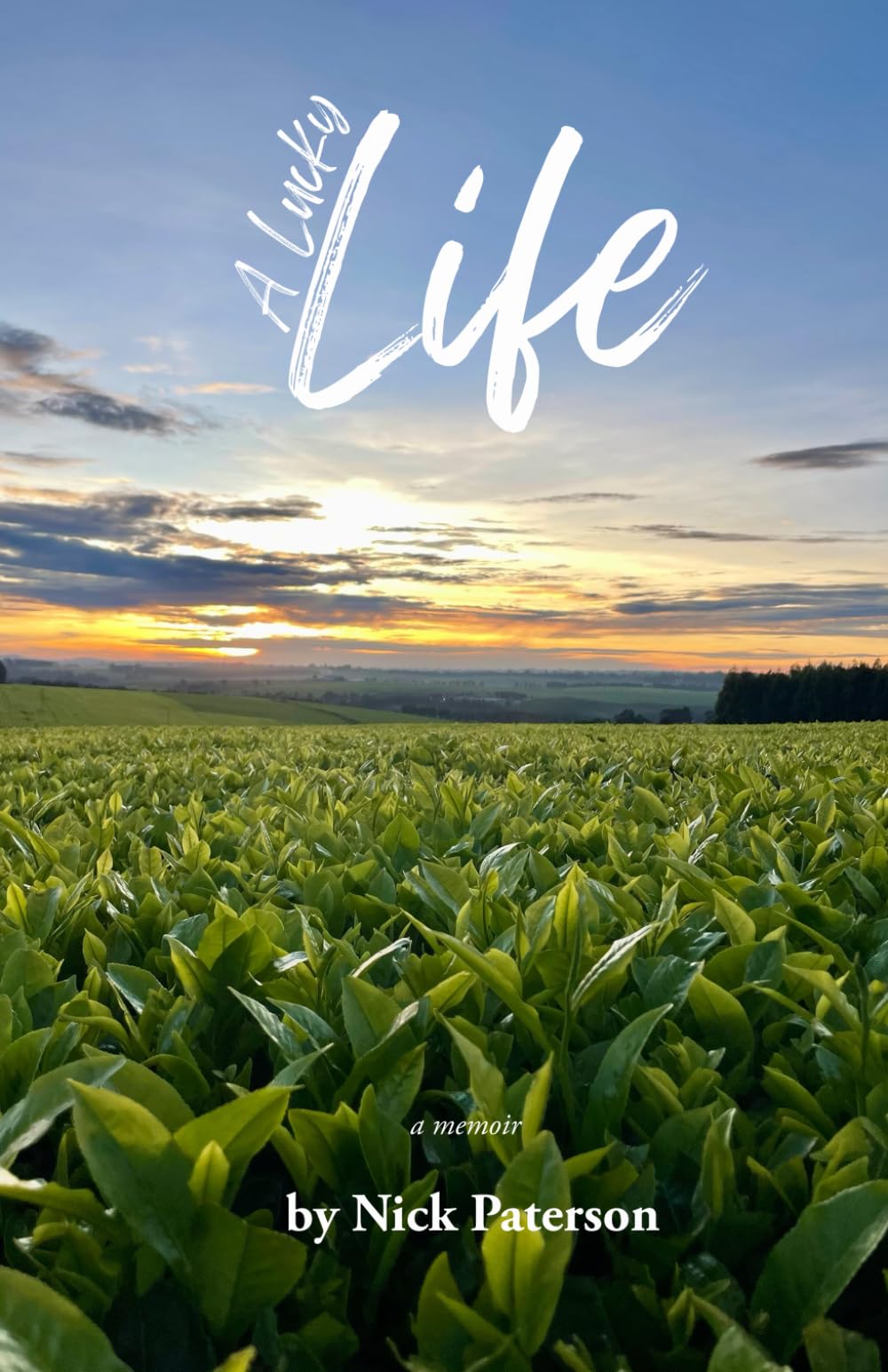 A Lucky Life: A Tea Planter in Kenya book