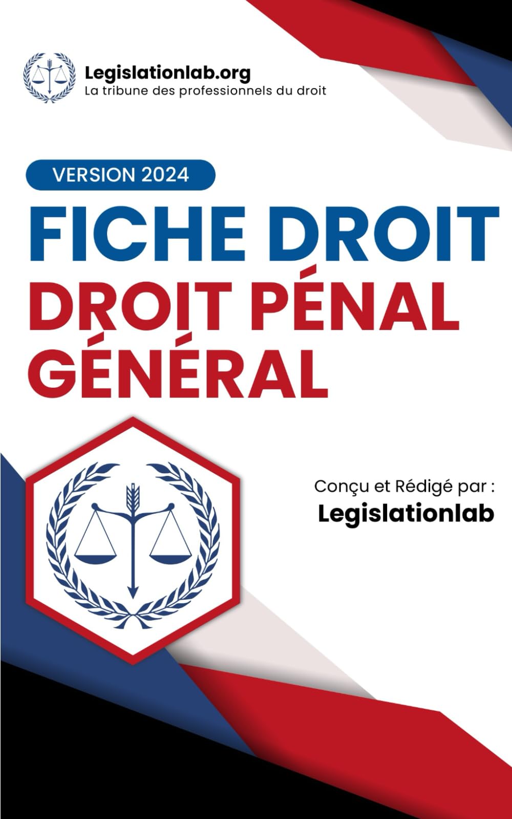 Droit pénal général - Fiches de révisions book