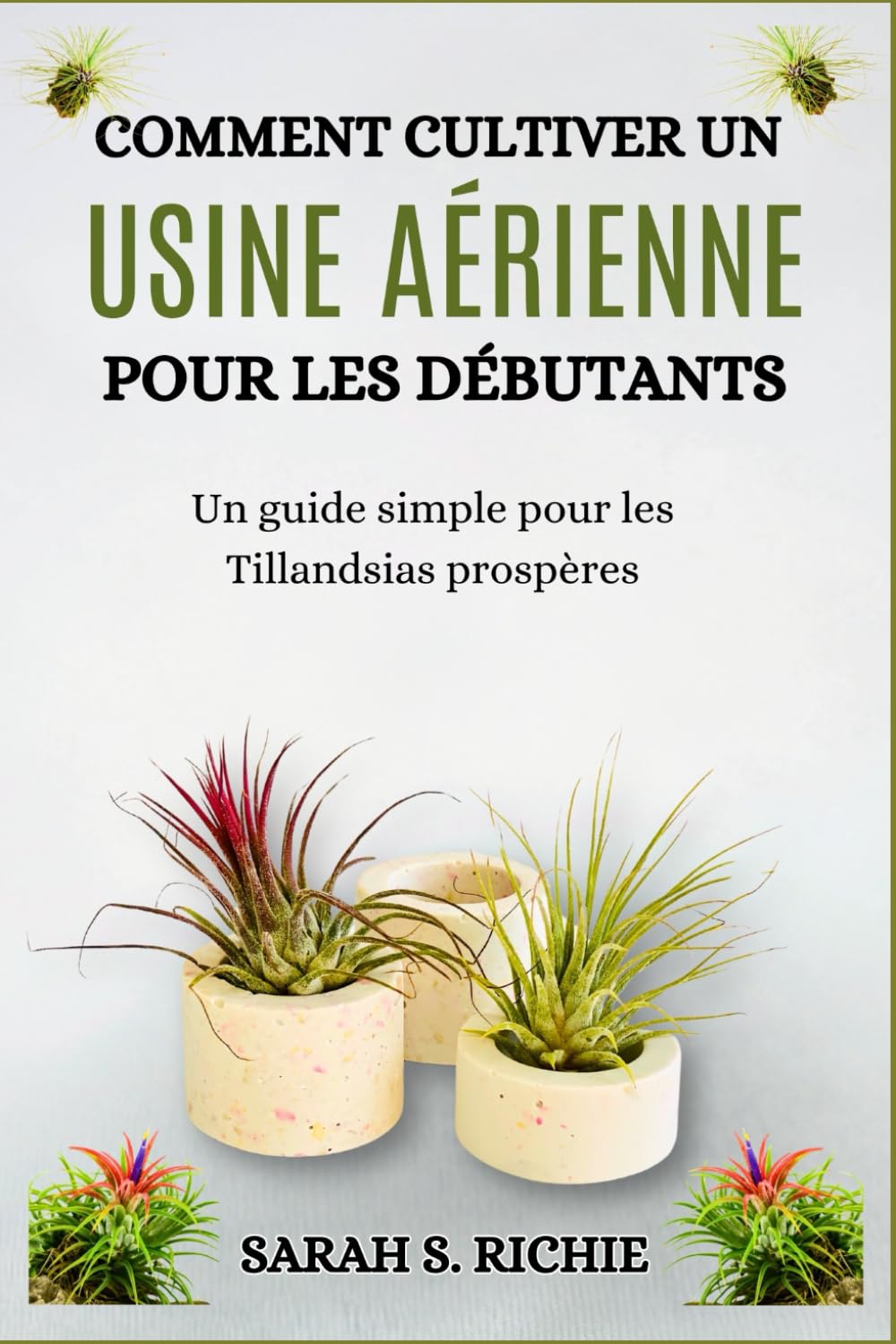 COMMENT CULTIVER UN USINE AÉRIENNE POUR LES DÉBUTANTS: Un guide simple pour les Tillandsias prospères book