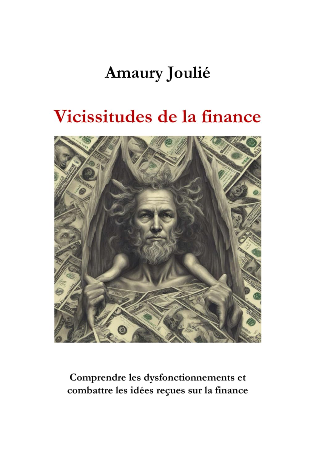 Vicissitudes de la finance: Comprendre les dysfonctionnements et combattre les idées reçues sur la finance book