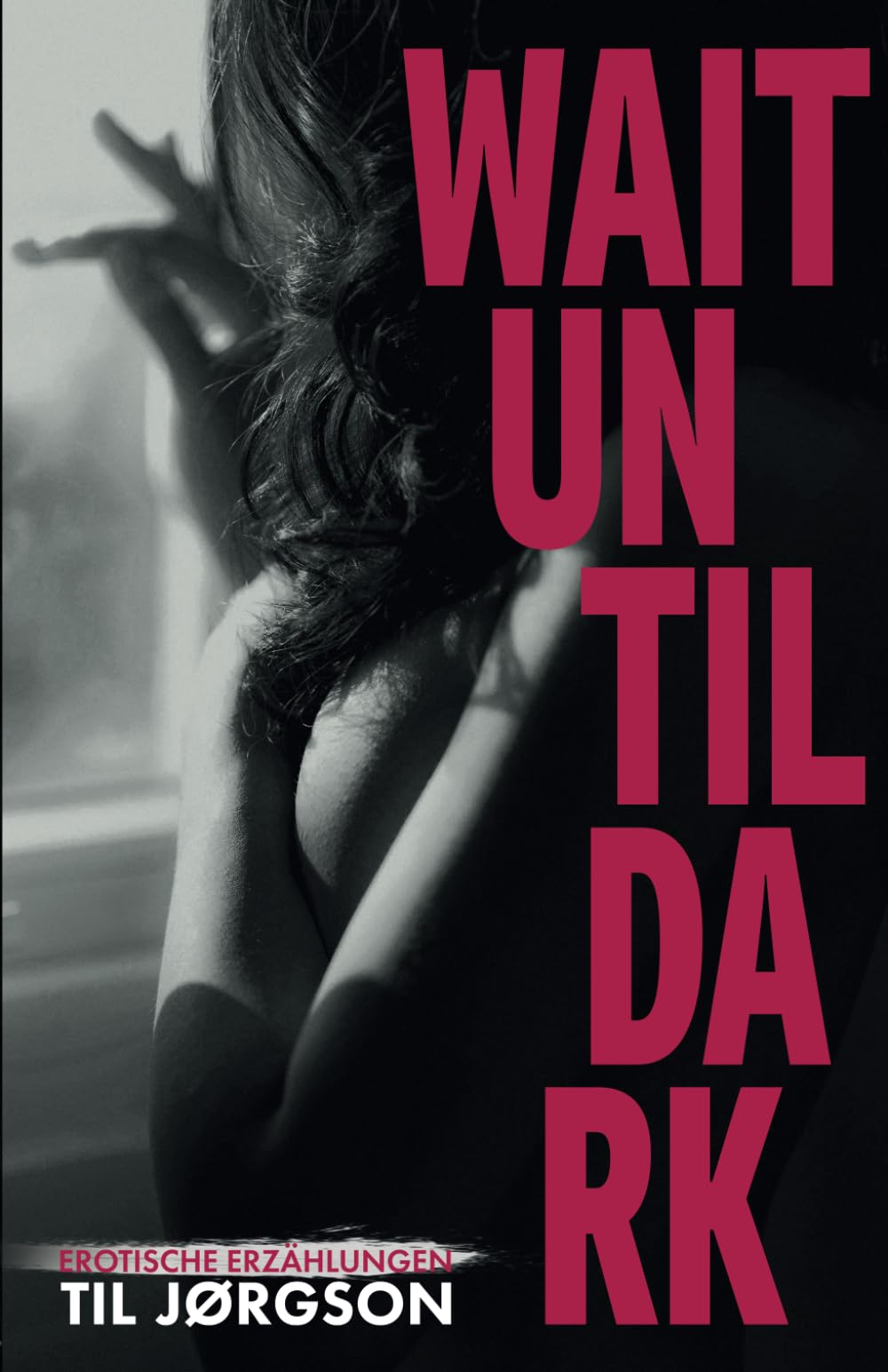 Wait until Dark: Umwerfende Erotik, die alles geraderückt und wiederaufrichtet (Der Himmel ist innen und er ist rosa, Band 4) Essays & Short Stories