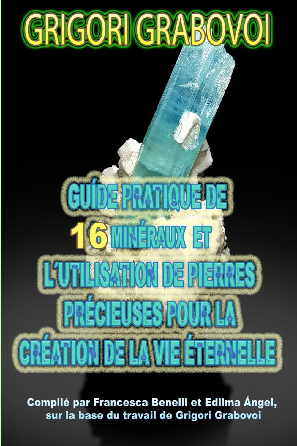 GUIDE PRATIQUE DE 16 MINÉRAUX ET L'UTILISATION DE PIERRES PRÉCIEUSES POUR LA CRÉATION DE LA VIE ÉTERNELLE book