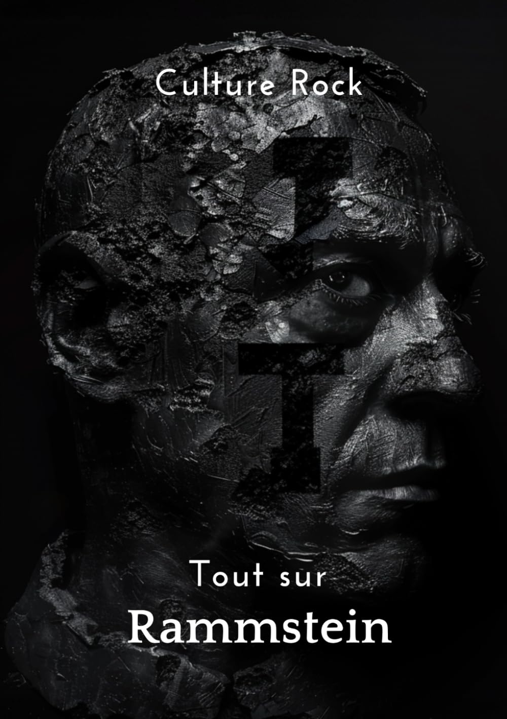 Tout sur Rammstein (Culture Rock - Français) Pop culture