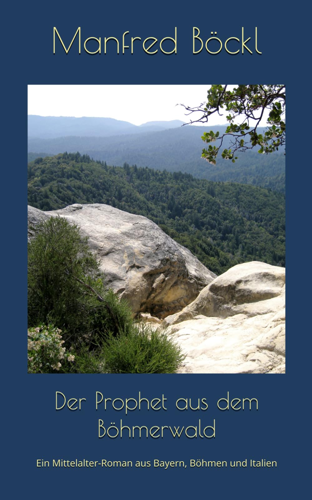 Der Prophet aus dem Böhmerwald: Ein Mittelalter-Roman aus Bayern, Böhmen und Italien Politics & History