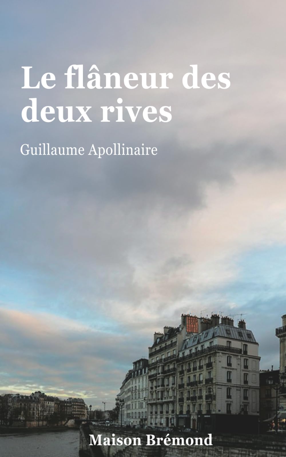 Le flâneur des deux rives (Illustré) book