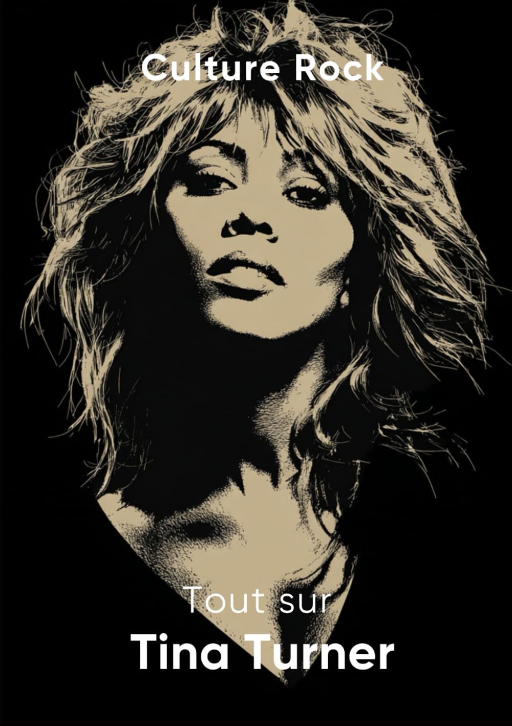 Tout sur Tina Turner book