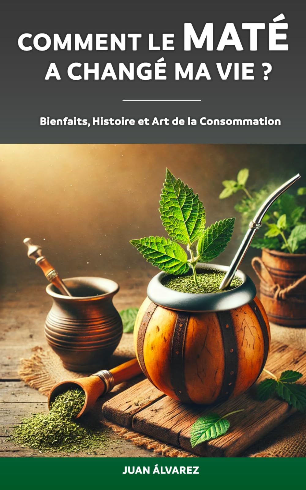 Comment le Maté a changé ma vie ?: Histoire, Bienfaits et Art de la Consommation de Yerba Mate book