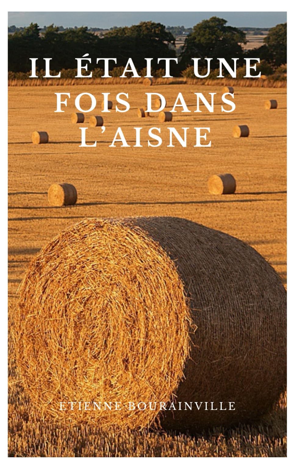 Il était une fois dans l'Aisne book