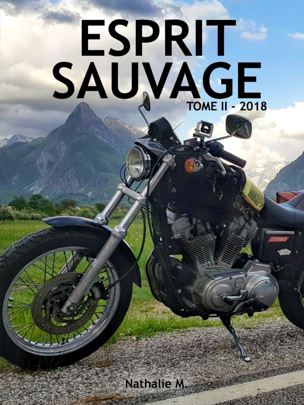 Esprit Sauvage: Tome 2 – 2018 book