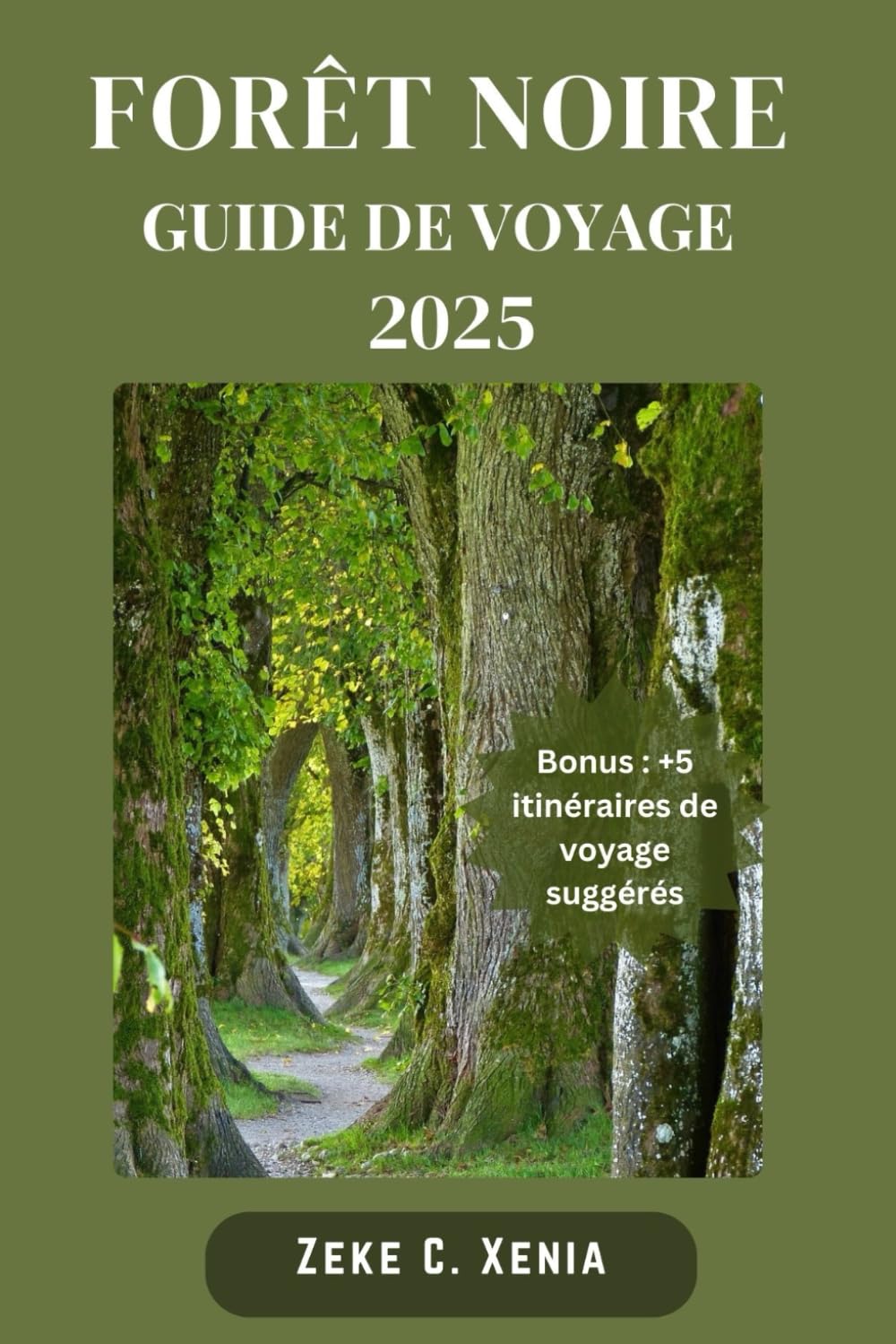 FORÊT NOIRE GUIDE DE VOYAGE: Votre porte d'entrée vers des sentiers de randonnée pittoresques, des villages historiques, des délices locaux et des délices culturels Travel Books
