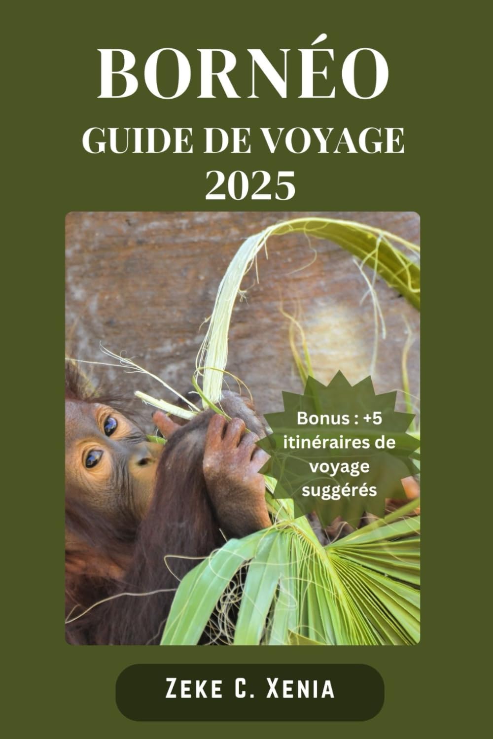 BORNÉO GUIDE DE VOYAGE: Embarquez pour une expédition passionnante à travers les forêts tropicales, les rivières, les merveilles culturelles, les traditions et les merveilles culturelles de Bornéo book