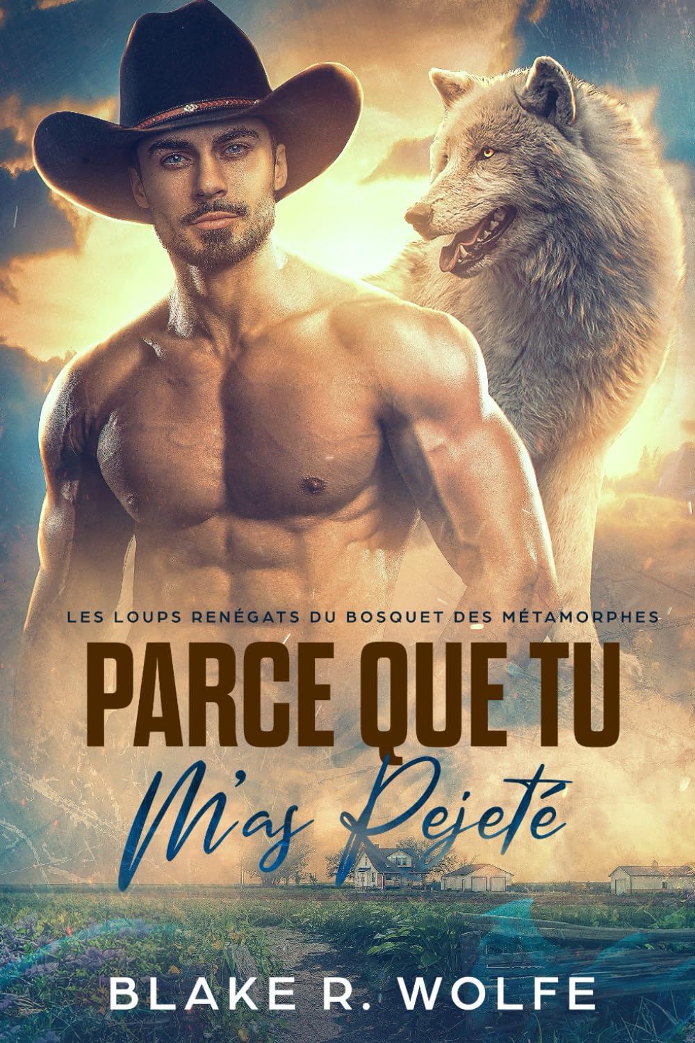 Parce que tu m'as rejeté: Gay loup-garou petite ville romance book
