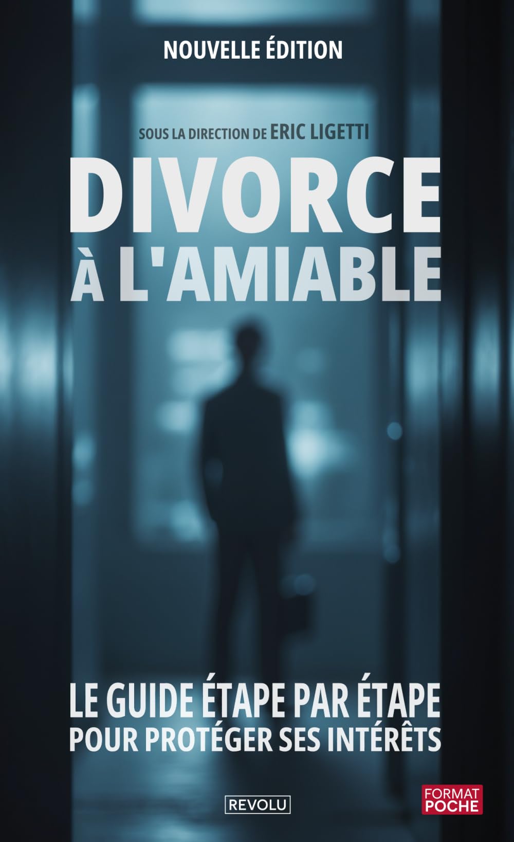 Divorce à l'amiable: Le guide étape par étape pour protéger ses intérêts sans avocat book