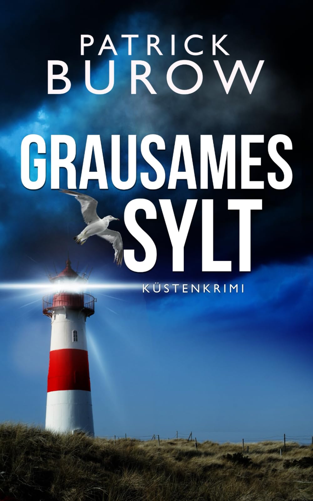 Grausames Sylt: Küstenkrimi (Hansen & Norden ermitteln, Band 5) Detective & CSI