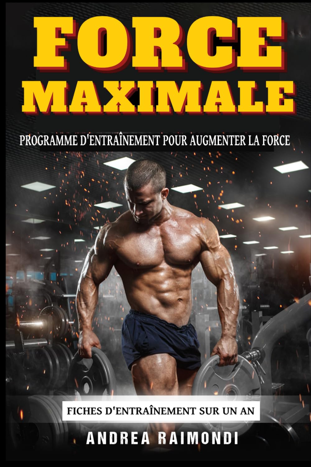Force Maximale: Un programme d'entraînement complet pour augmenter la force. Fiches d'entraînement sur un an book