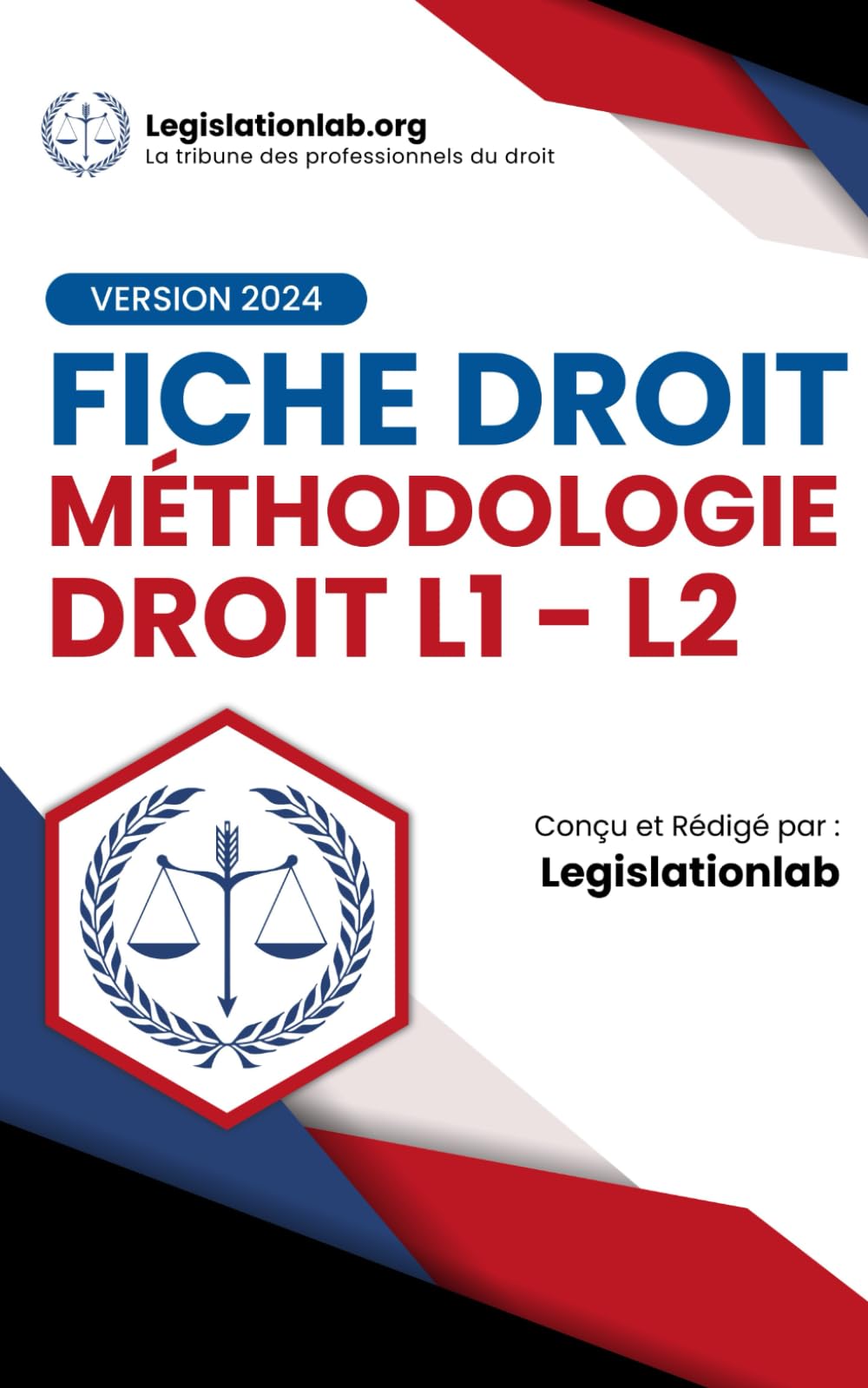 Méthodologie Droit L1 L2: Commentaire d'arrêt ; Fiche d'arrêt ; Dissertation ; Cas pratiques ; Commentaire de texte book