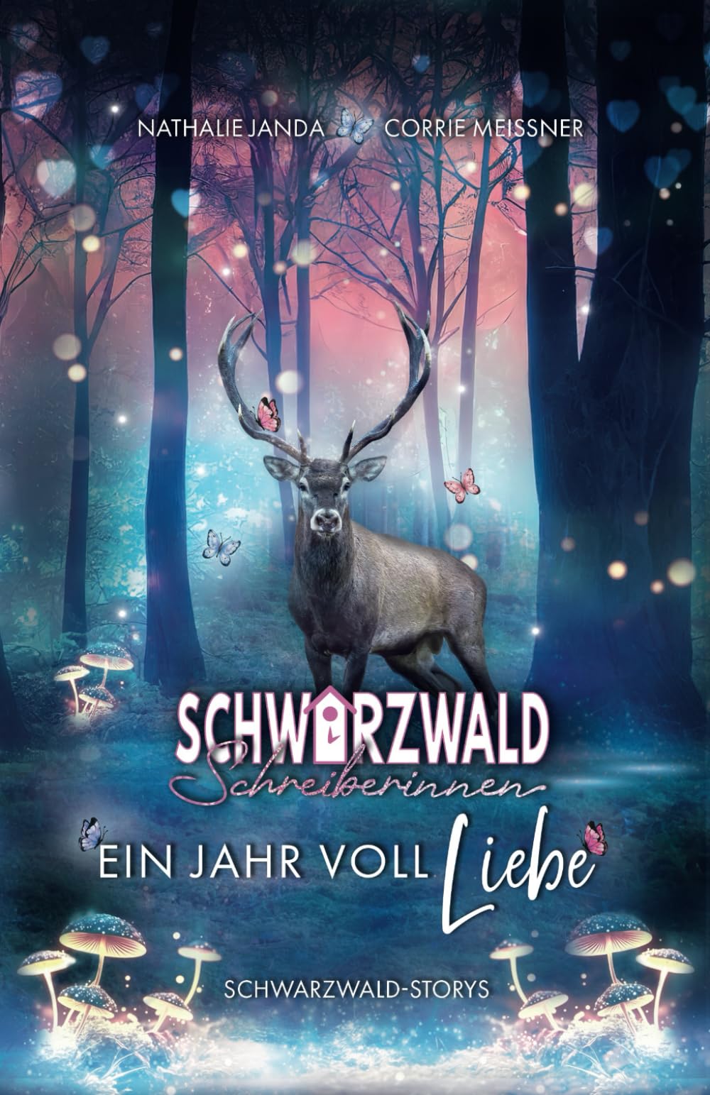 Schwarzwald-Schreiberinnen: Ein Jahr voll Liebe (Schwarzwald-Storys) Contemporary literature