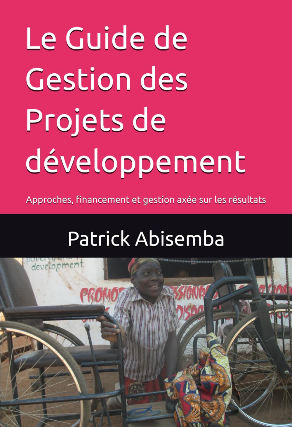 Le Guide de Gestion des Projets de développement: Approches, financement et gestion axée sur les résultats book