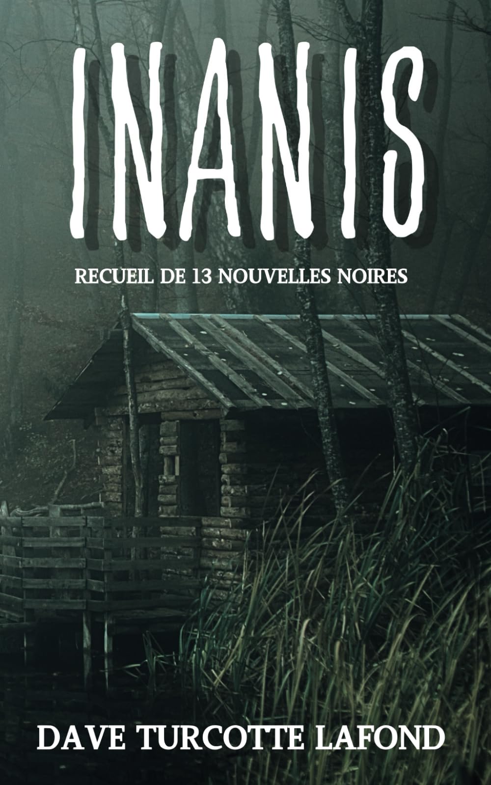 Inanis: Recueil de nouvelles noires book