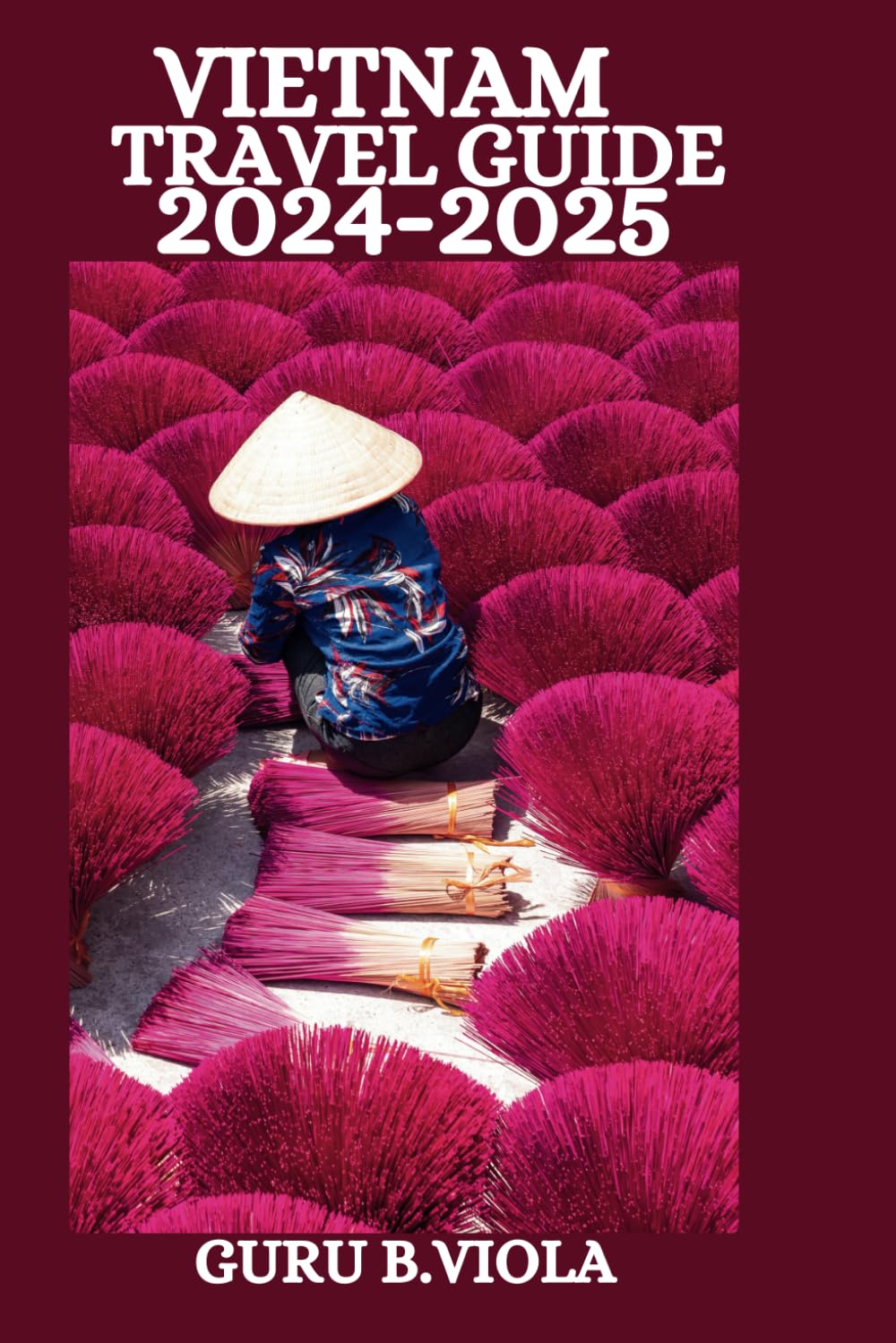 VIETNAM TRAVEL GUIDE 2024-2025: Discover Hanoi Ho Chi Minh City Saigon Hoi An Da Nang Hue Nha Trang Sapa Can Tho Dalat Quy Nhon And More book