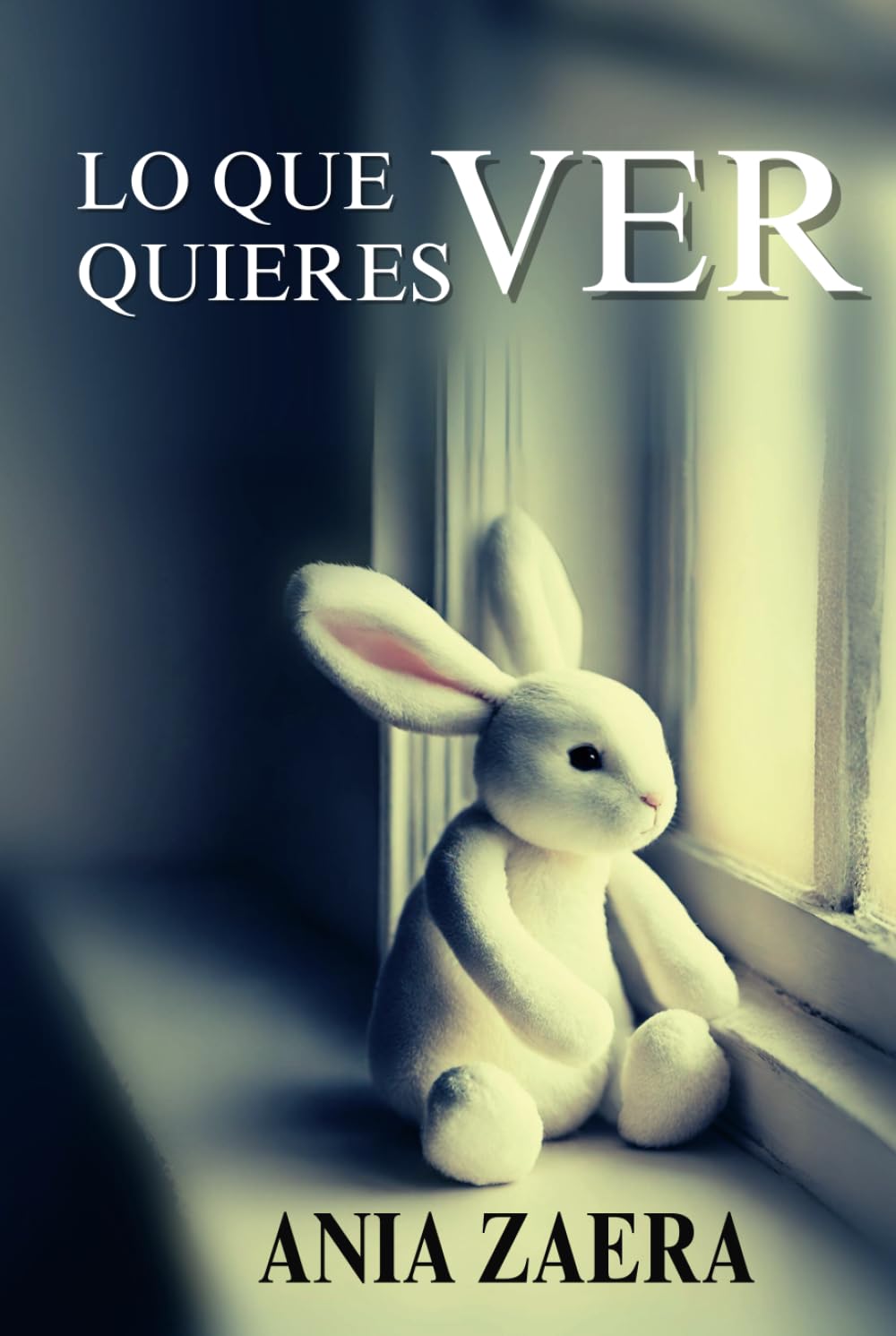 Lo que quieres ver: Misterios y secretos en un thriller psicológico con tintes románticos. book