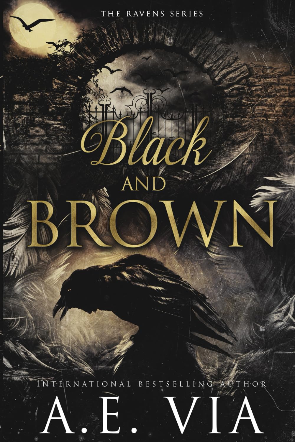 Black and Brown: Raven Assassins (Ravens Series, Band 1) LGBTQ+