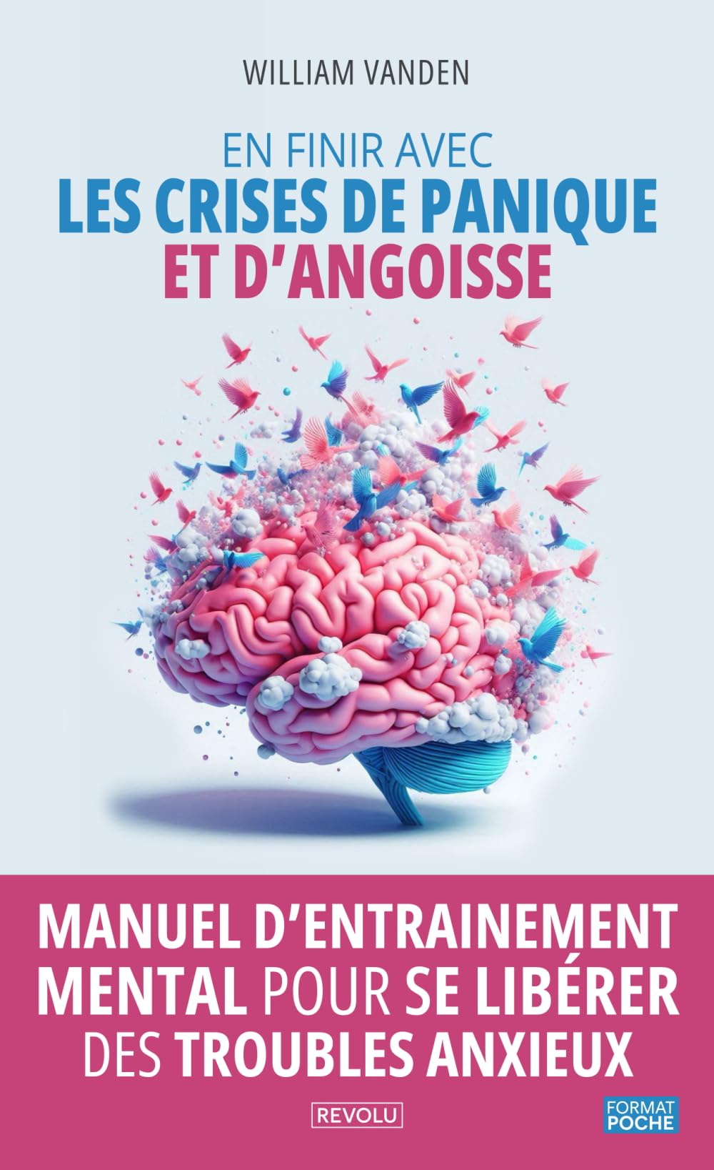 En finir avec les crises de panique et d’angoisse: Manuel d’entrainement mental pour se libérer des troubles anxieux book
