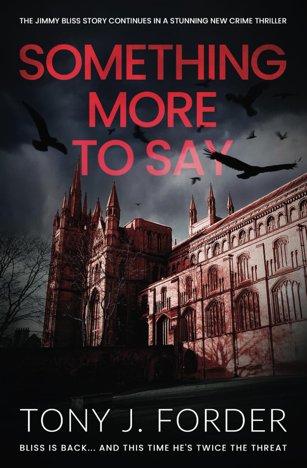 Something More To Say (The DI Jimmy Bliss Crime Series, Band 12) Detective & CSI