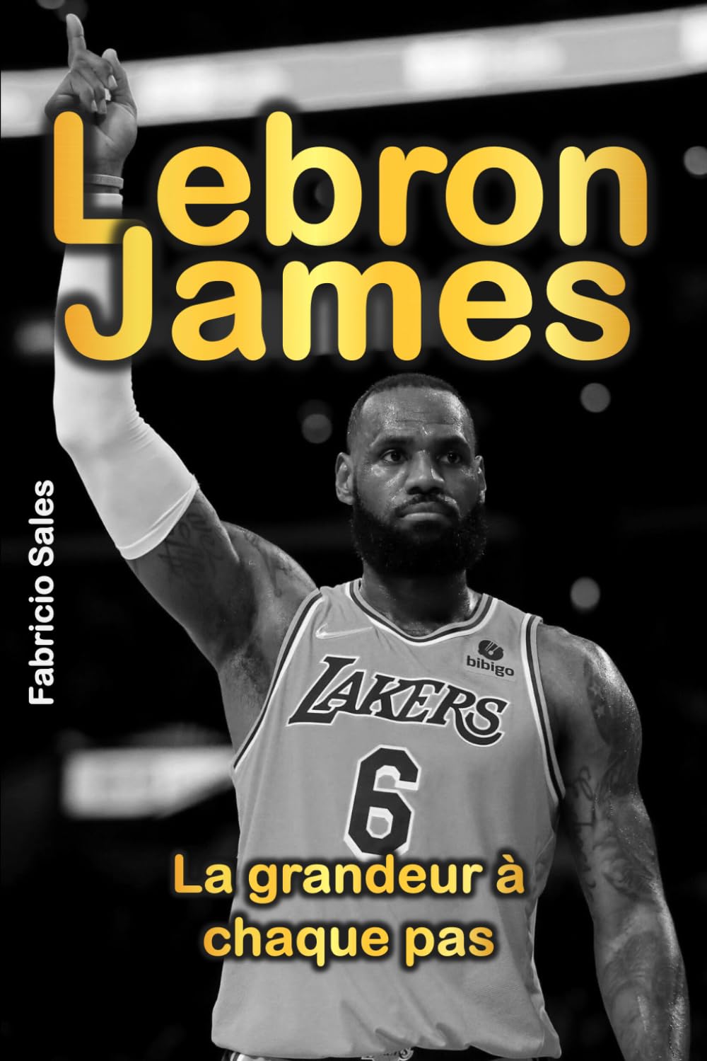 LeBron James: La grandeur à chaque pas Biographies