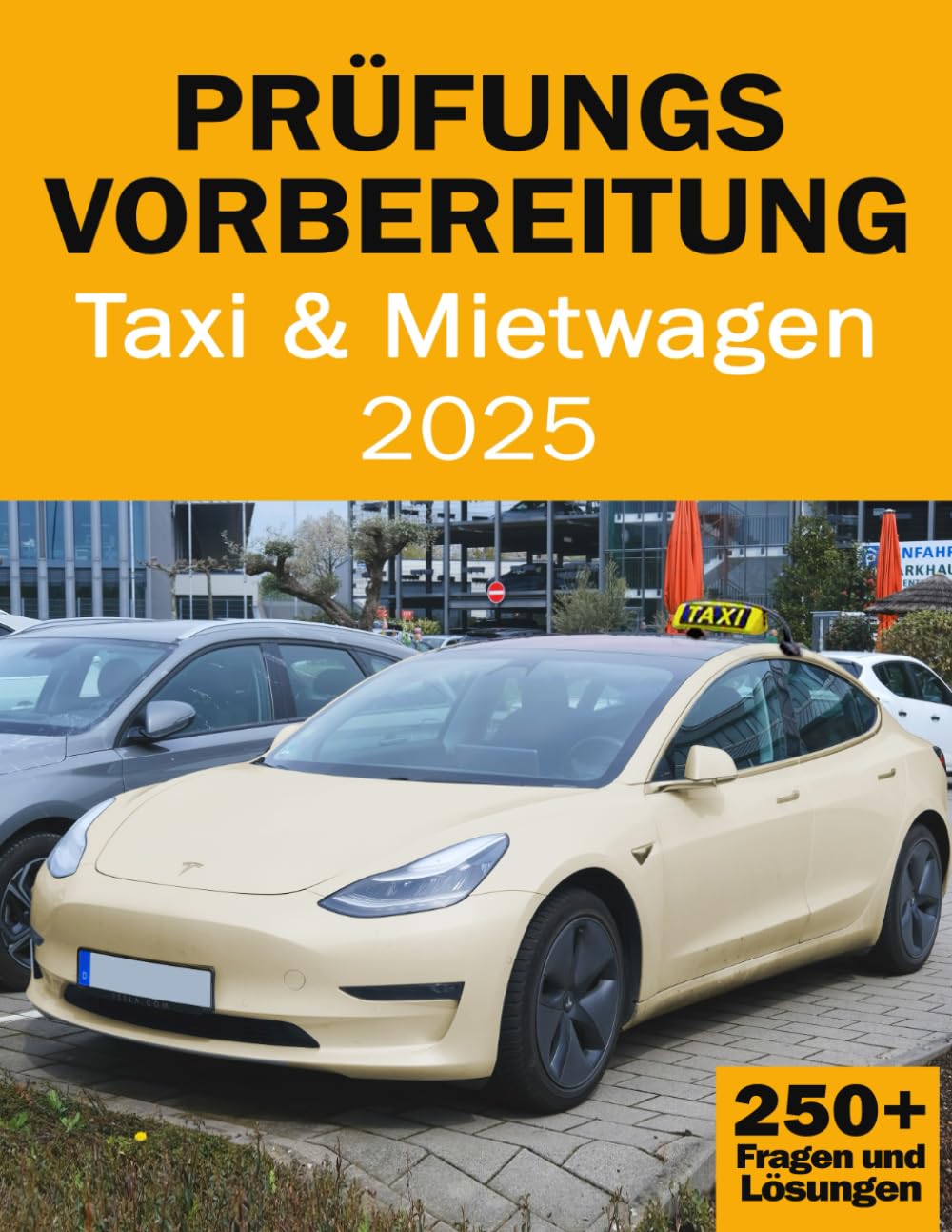 Prüfungsvorbereitung für Taxi- und Mietwagenunternehmer - Fachkundeprüfung Taxi- und Mietwagen Business, Finance & Career