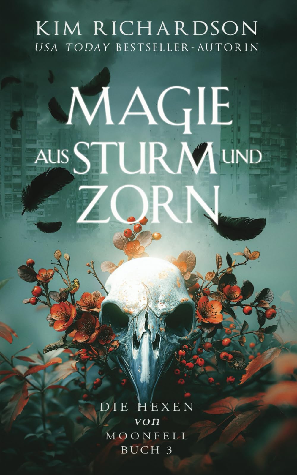 Magie aus Sturm und Zorn book