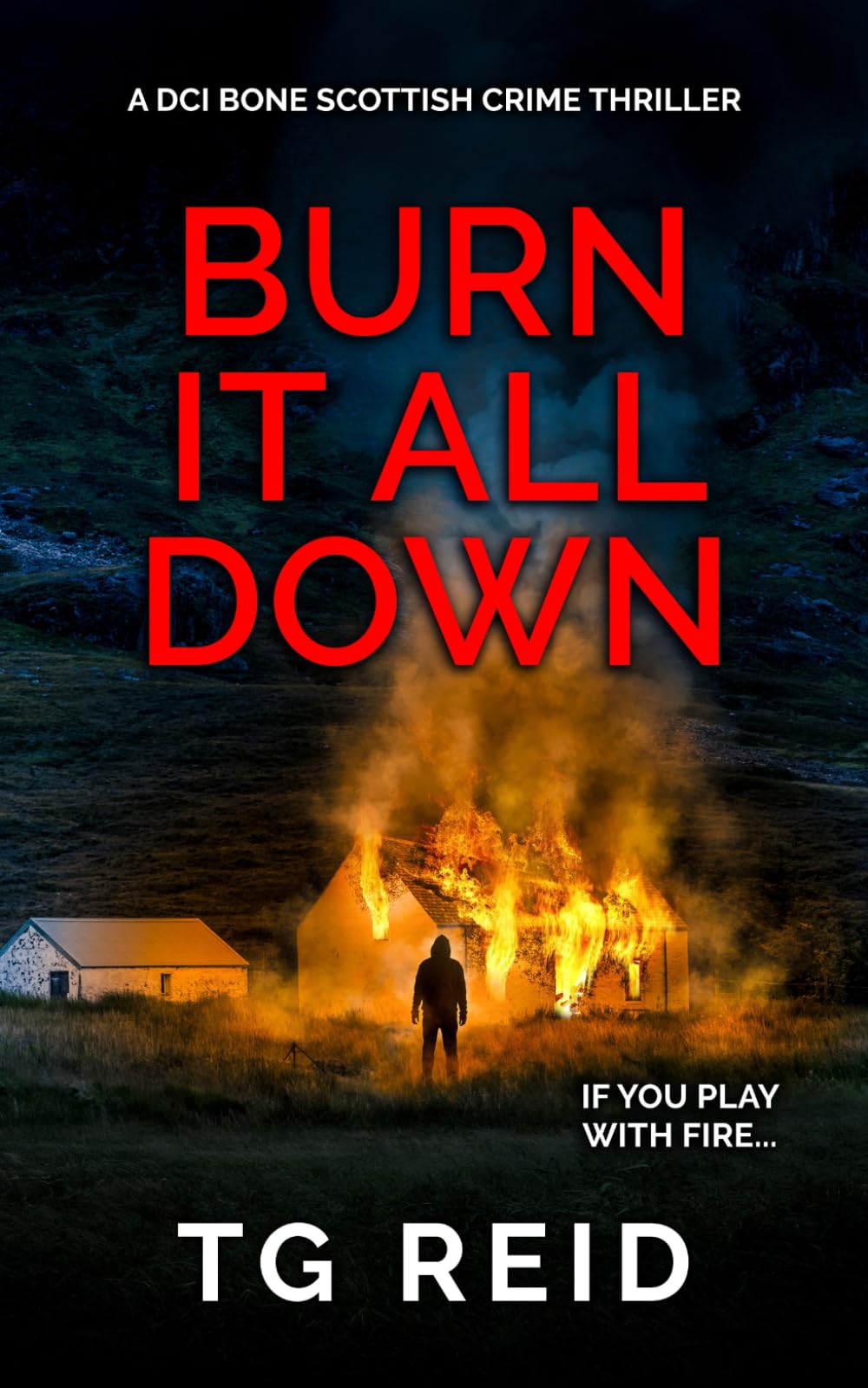 Burn it All Down: An Edge-Of-Your-Seat Scottish Detective Mystery book