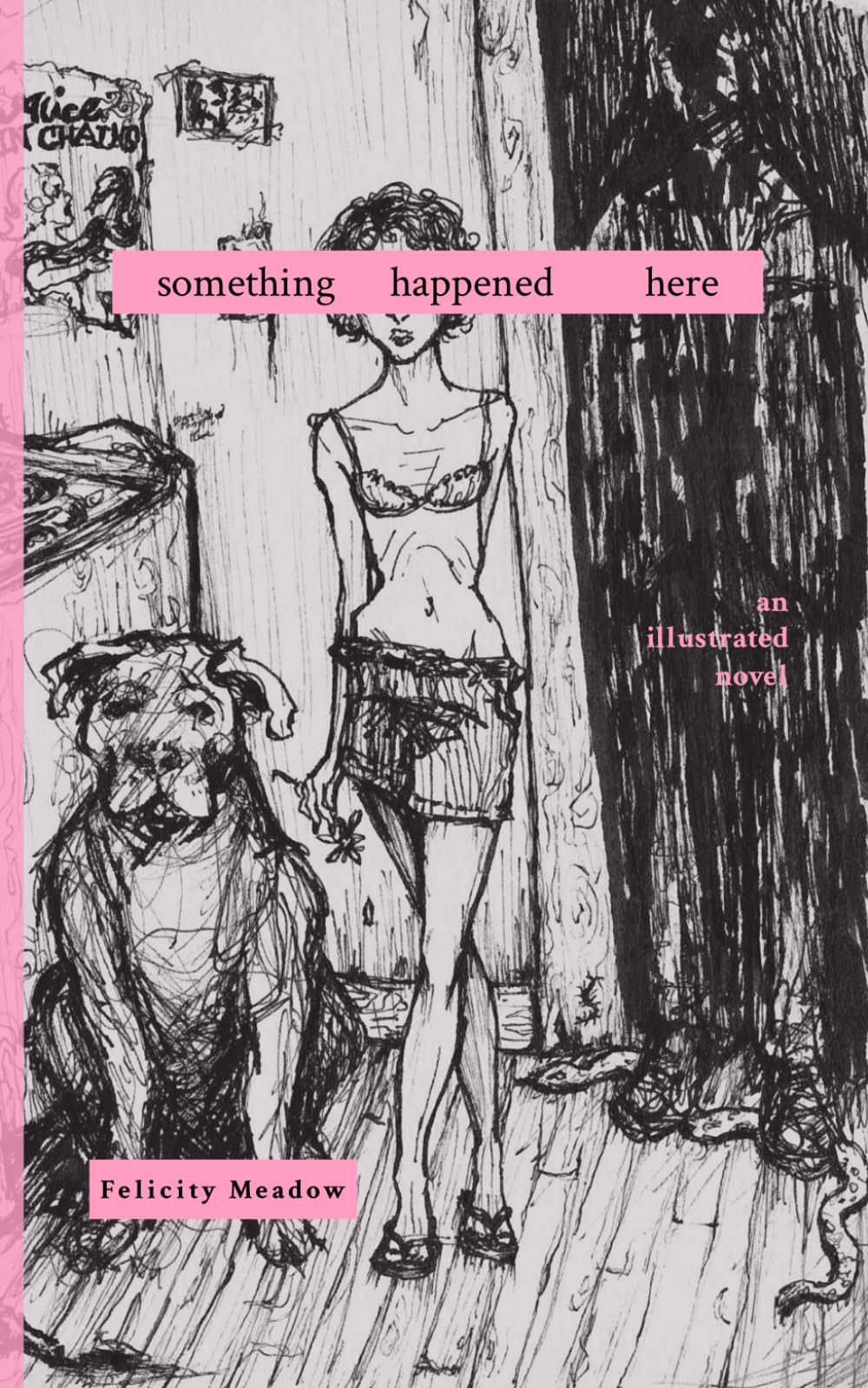 Something Happened Here: an illustrated novel Fiction