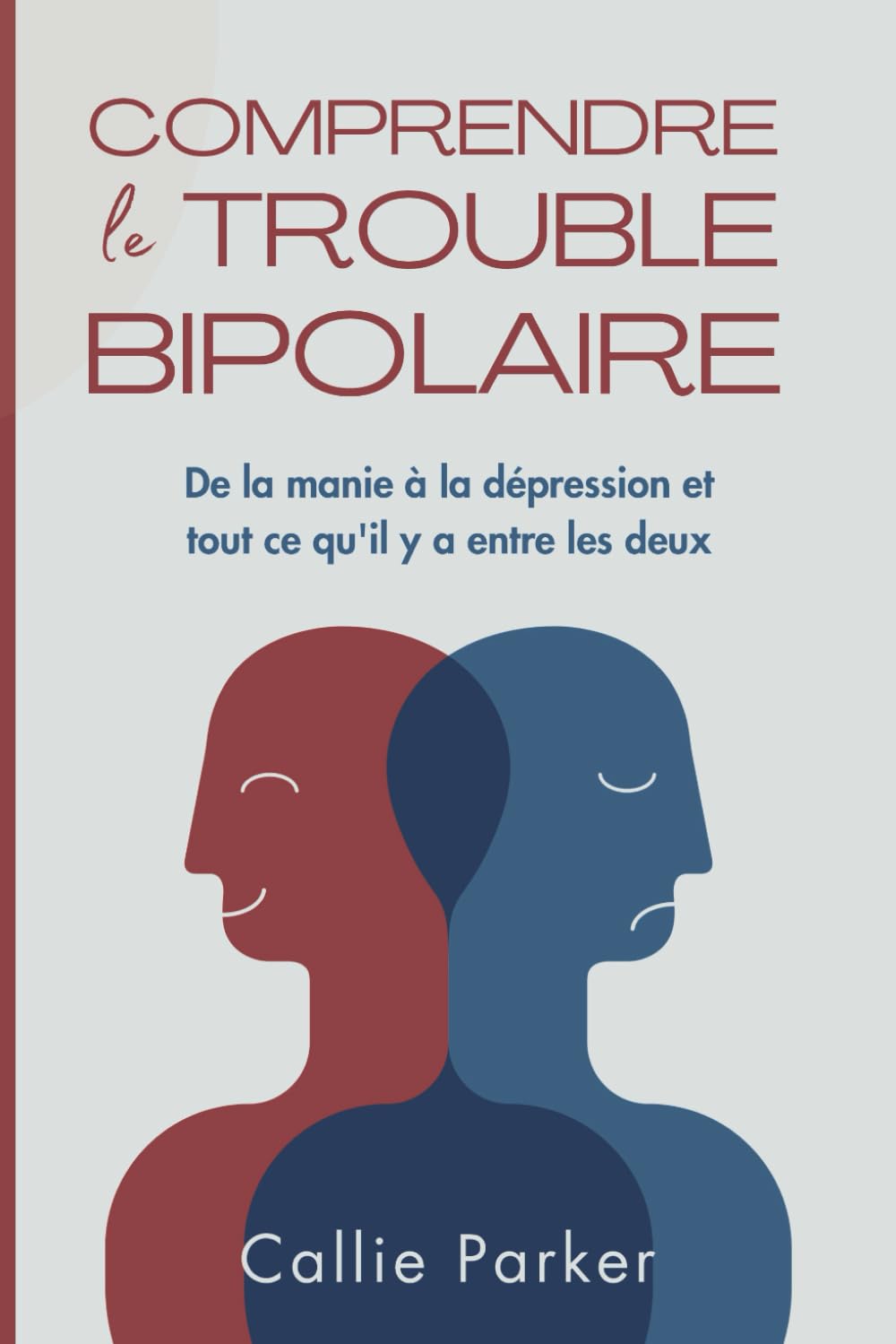 Comprendre le trouble bipolaire: De la manie à la dépression et tout ce qu'il y a entre les deux book