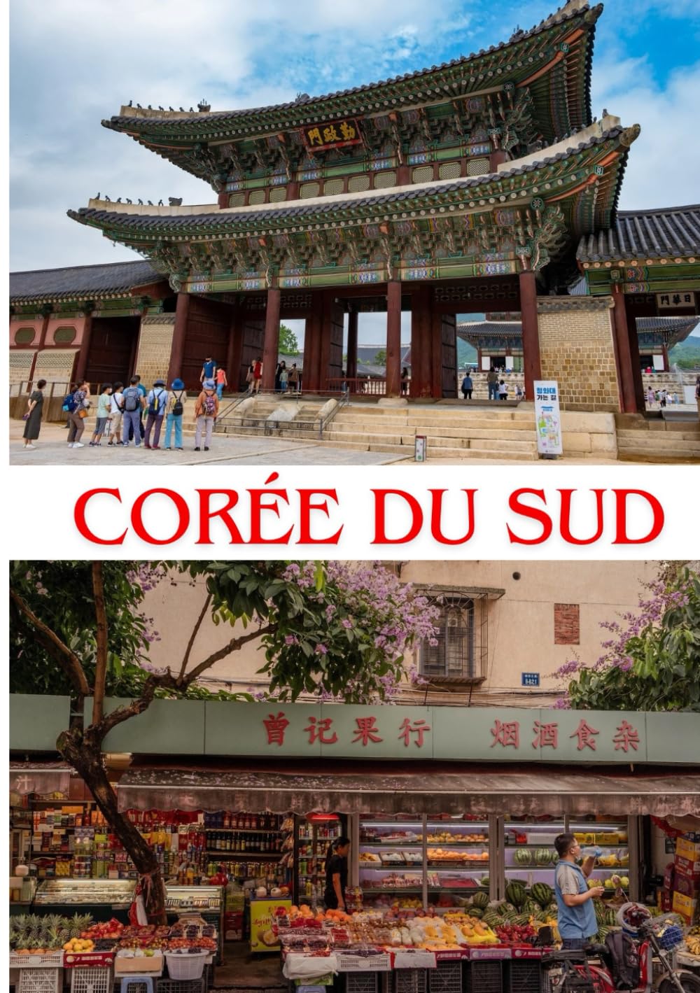 CORÉE DU SUD GUIDE DE VOYAGE 2025: Meilleurs endroits où séjourner, cartes SIM recommandées, principales attractions et lieux incontournables pour une aventure incroyable book