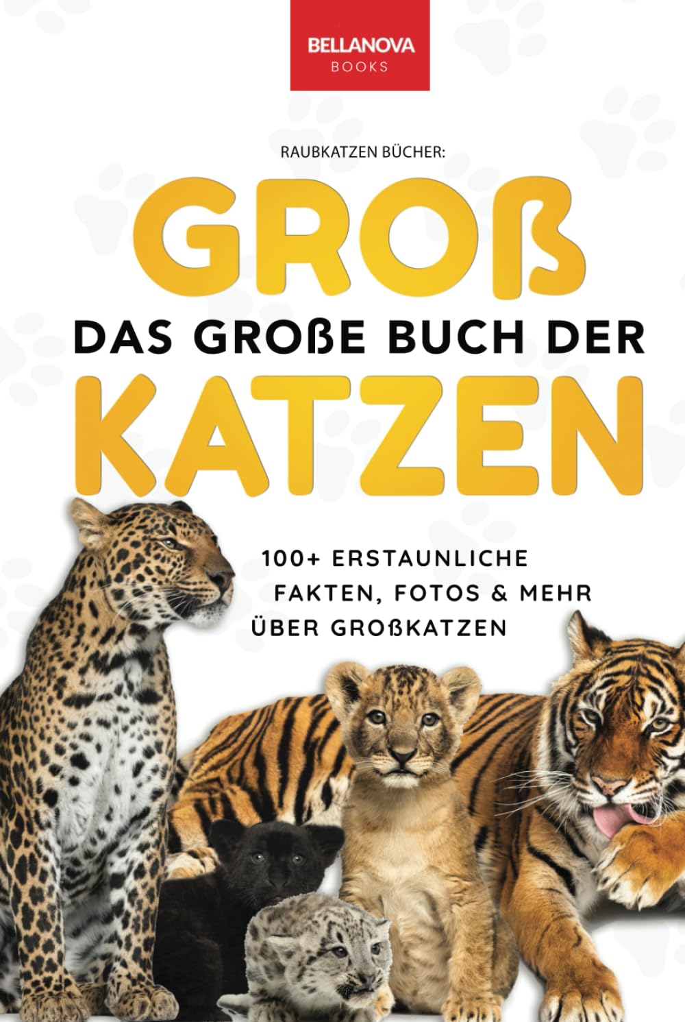 Raubkatzen Bücher: Das Große Buch der Großkatzen: Über 100 erstaunliche Fakten über Löwen, Tiger, Leoparden, Schneeleoparden, Jaguare & Rätseln Non-fiction