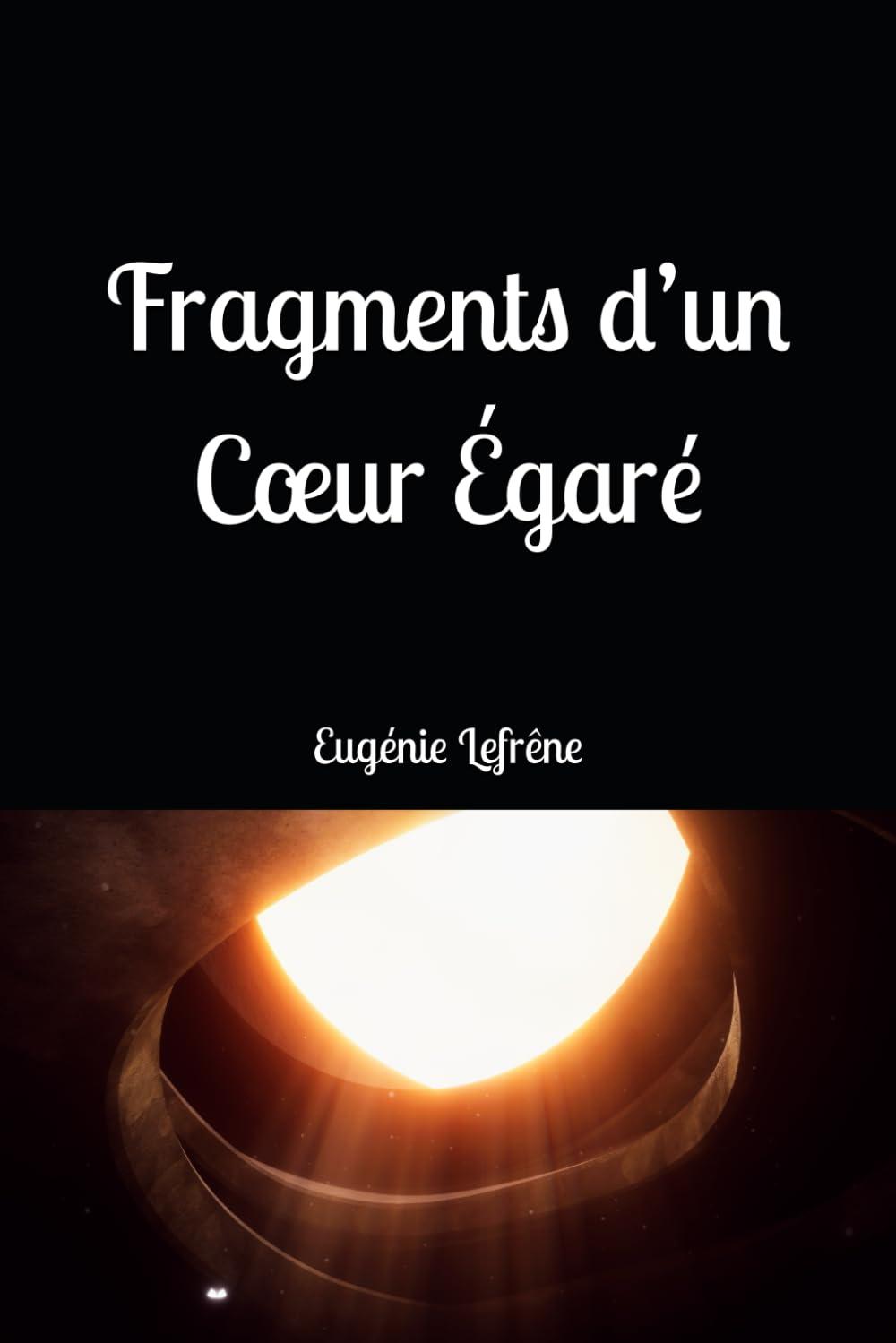 Fragments d’un Cœur Égaré book