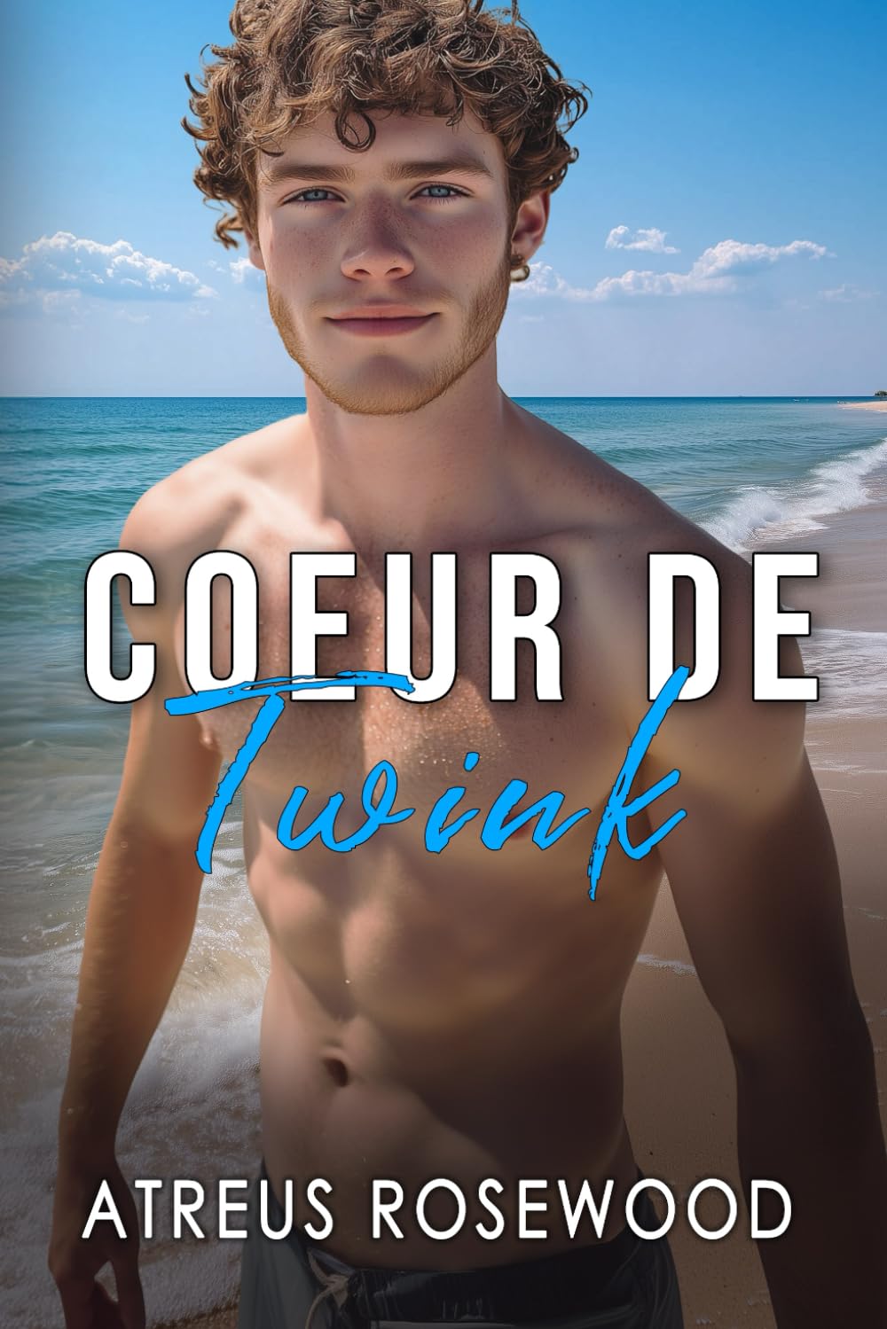 Coeur de Twink: Romance gay contemporaine bisexuelle sur la plage book