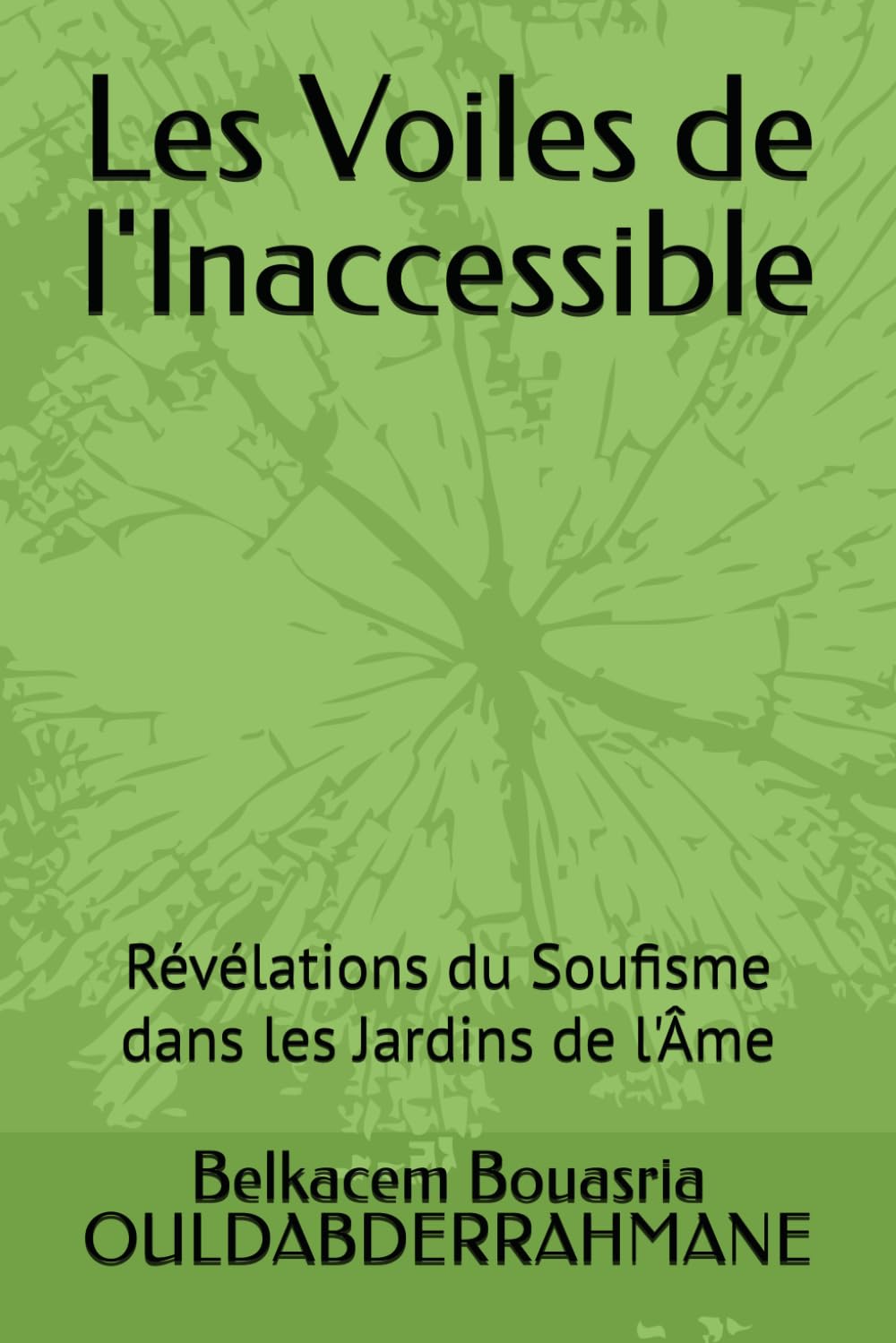 Les Voiles de l'Inaccessible: Révélations du Soufisme dans les Jardins de l'Âme book