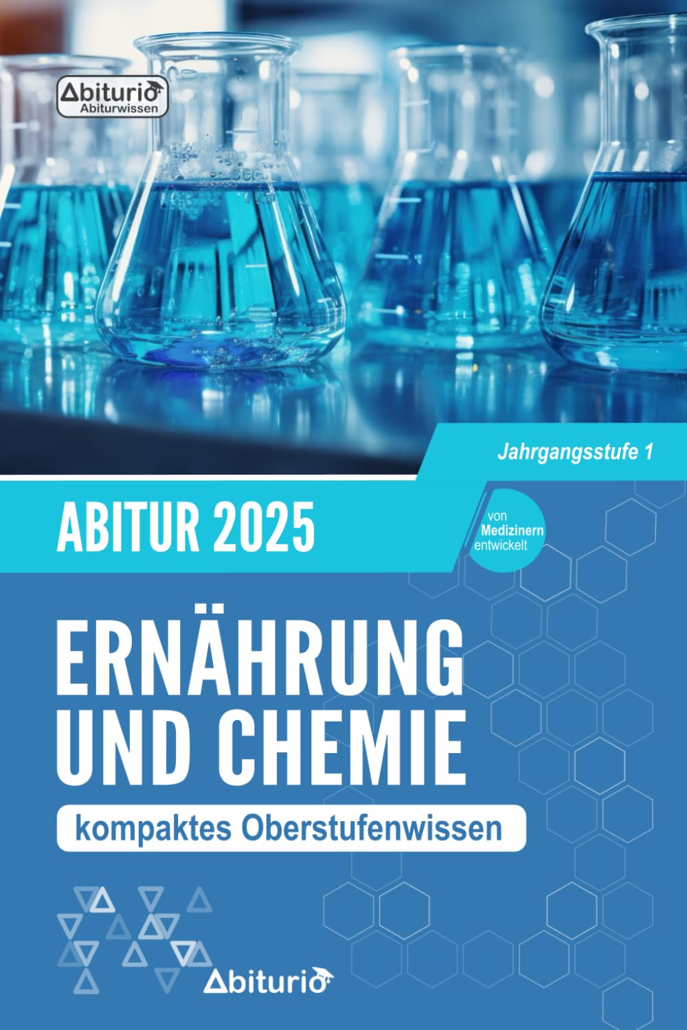 Abitur Ernährung und Chemie: kompaktes Oberstufenwissen der Jahrgangsstufe 1 zur Abiturvorbereitung book
