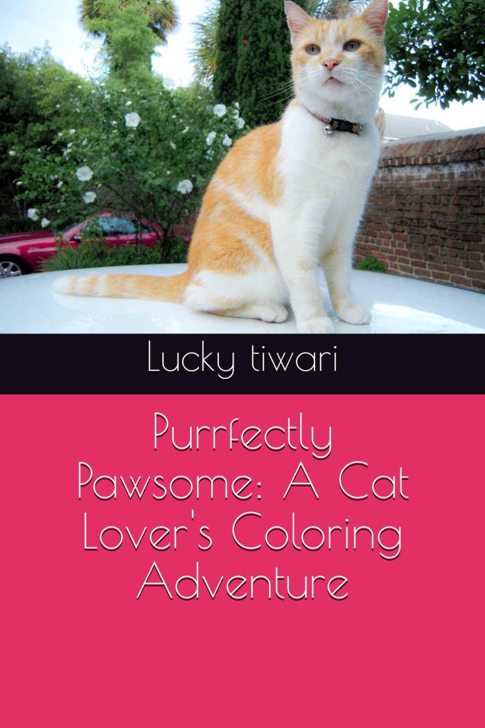 Purrfectly Pawsome: A Cat Lover's Coloring Adventure Tiptoi & Games