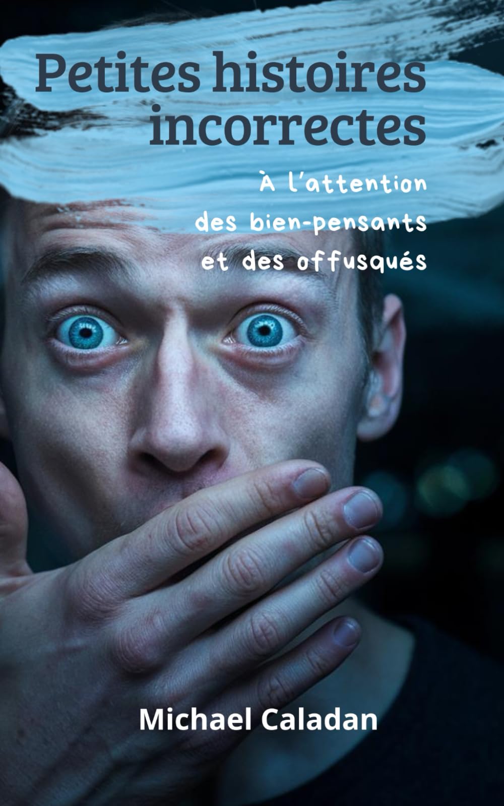 Petites histoires incorrectes à l’attention des bien-pensants et des offusqués book