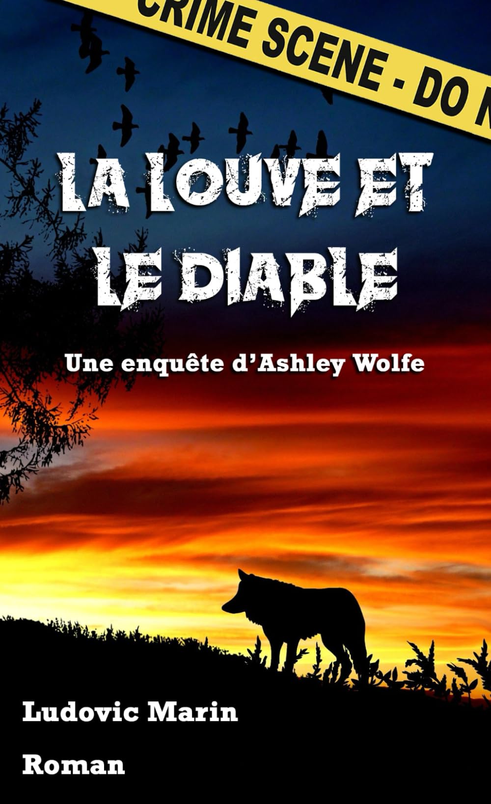 La Louve et le Diable (Les enquêtes d'Ashley Wolfe, Band 3) Detective & CSI