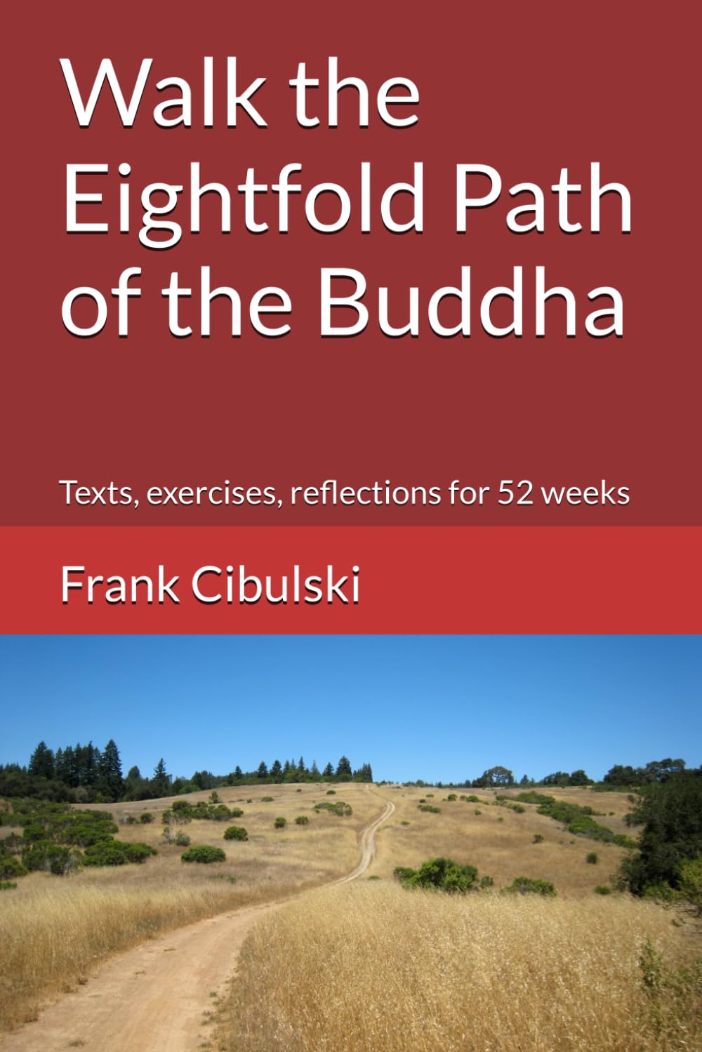 Walk the Eightfold Path of the Buddha: Texts, exercises, reflections for 52 weeks book